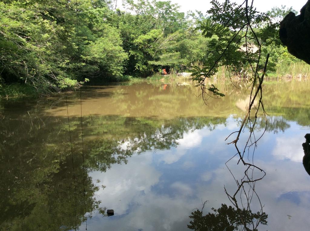 Hotel Boutique Quinta Chanabnal Palenque Luaran gambar