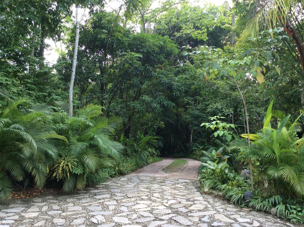 Hotel Boutique Quinta Chanabnal Palenque Luaran gambar